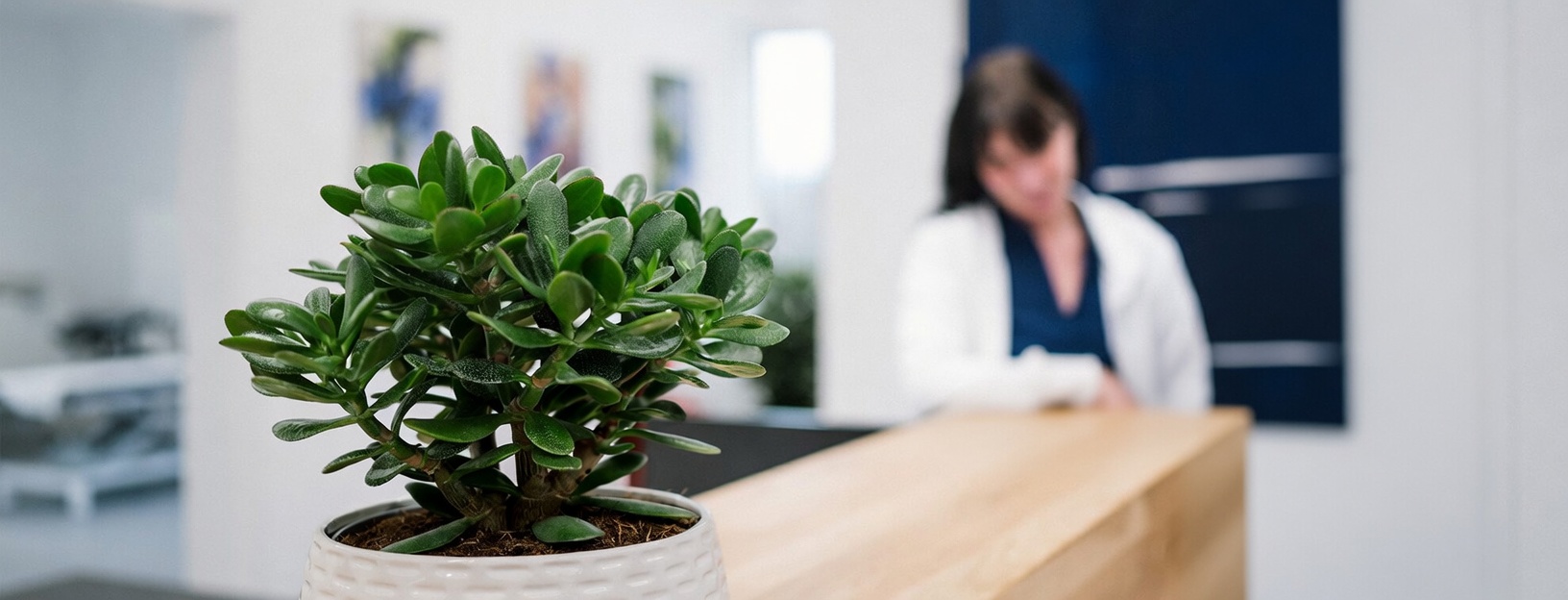 Empfangsbereich Dr. Kurzweil Gebhard